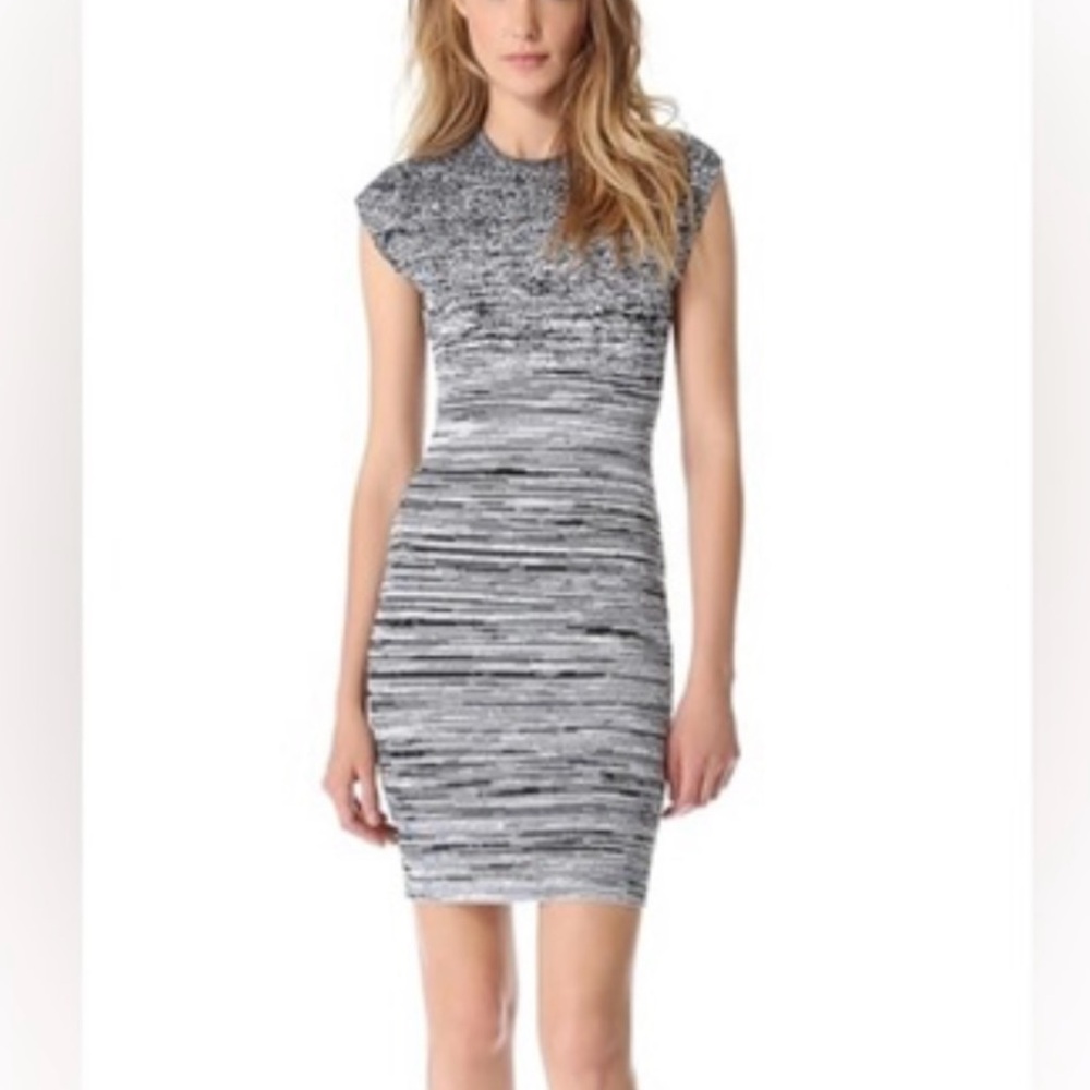 Alexander Wang Ombre Grey Bodycon Dress